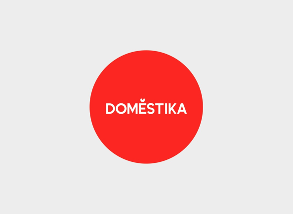 dmstk logo 2013